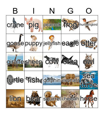 Animals Bingo Card