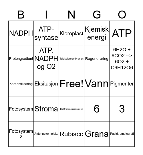 Fotosyntesen Bingo Card