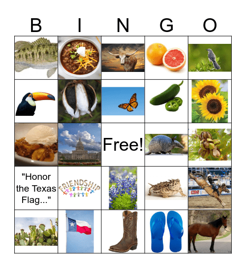 Texas Symbols Bingo Card