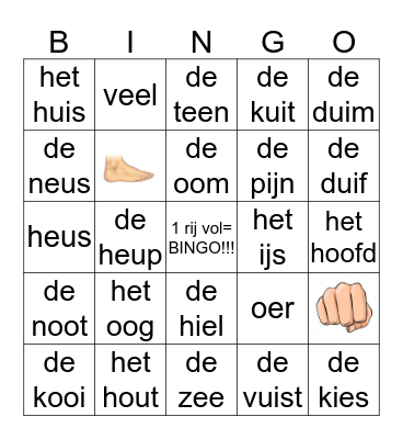 Taal In Stappen BINGO Card