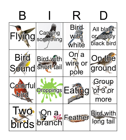 Bird Spy Bingo Card