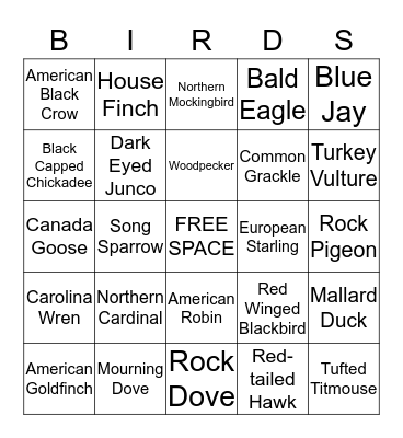 Bird Bingo Card