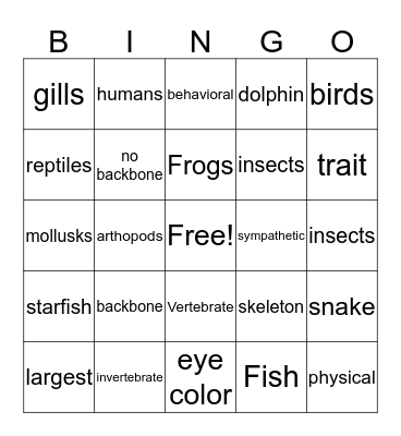 Animal Group Bingo Card