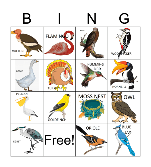 BIRDS AND NESTS Bingo Card