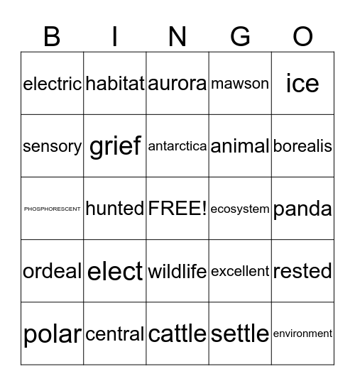 random Bingo Card