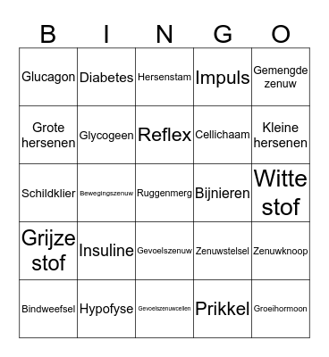 Regeling Bingo Card