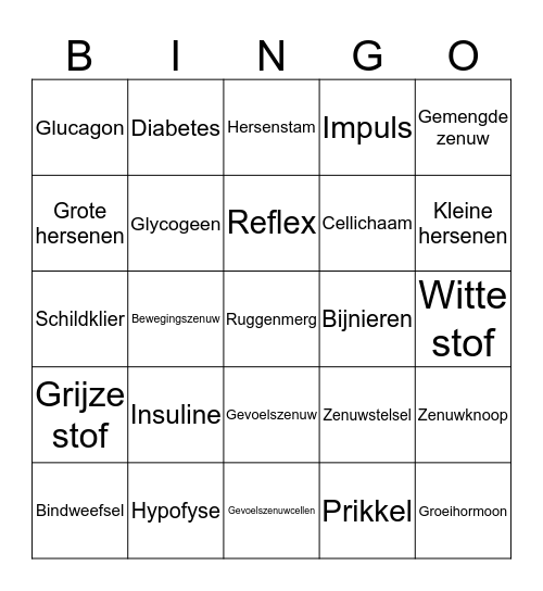 Regeling Bingo Card