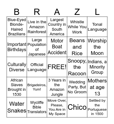 All About Brazil Bingo Card