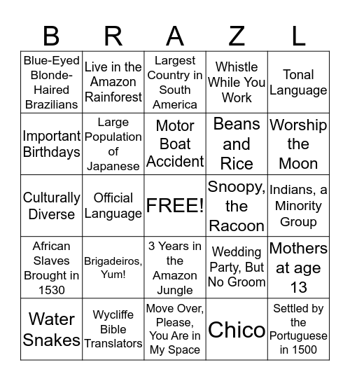 All About Brazil Bingo Card