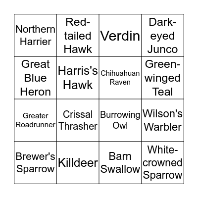 BIRD BINGO Card