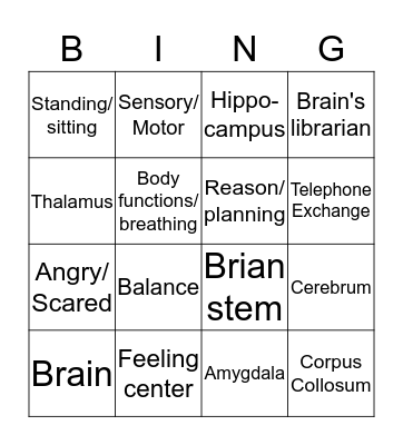 Brain/ Bingo  Bingo Card