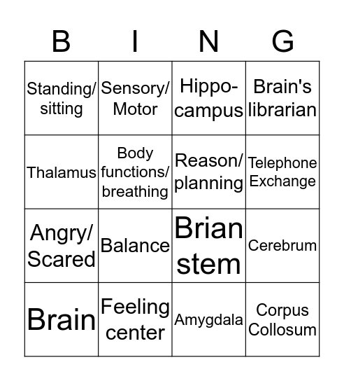 Brain/ Bingo  Bingo Card