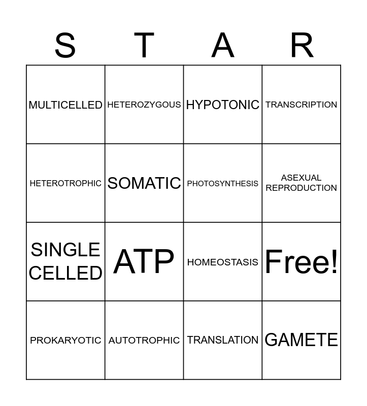 Bio Bingo Card