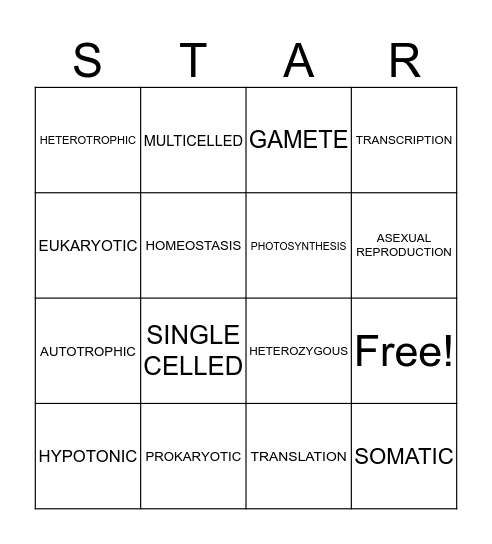 Bio Bingo Card