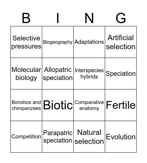 Evolution Bingo Card