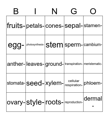Plant Structure and Function Bingo Card