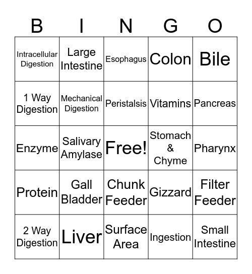 Digestion Bingo Card