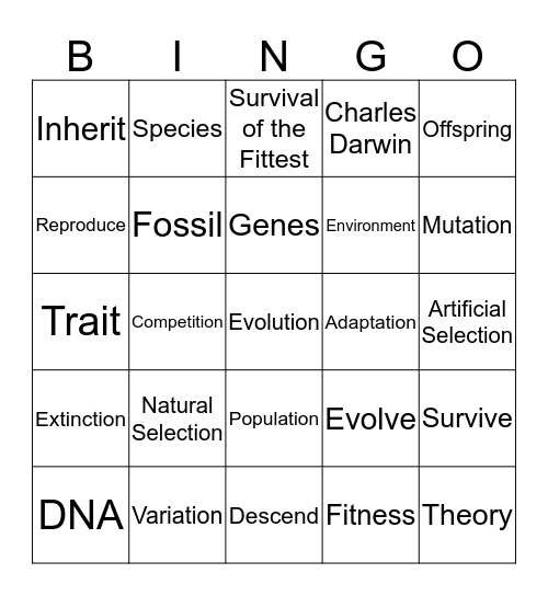 Evolution Bingo Card