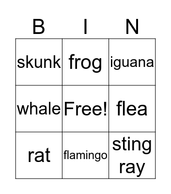 Animals Bingo Card