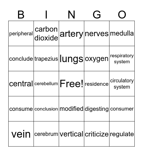 Bingo SRA Comp B2 Lesson 17 Bingo Card