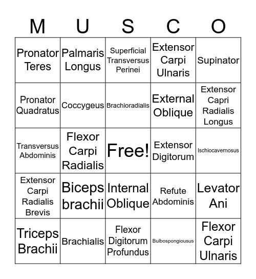 Musco 2 Bingo Card