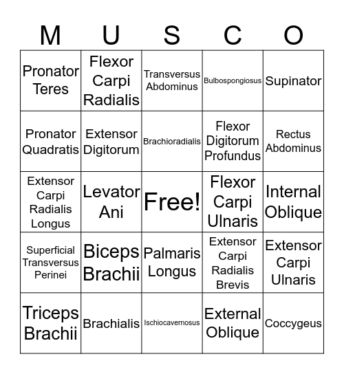 Mucso List Two Bingo Card