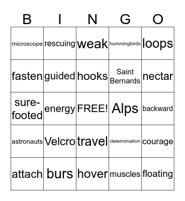 4th Grade Bingo Card