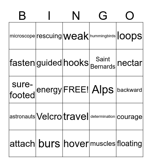 4th Grade Bingo Card