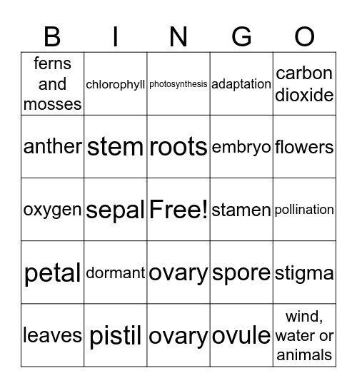 Plants Bingo Card