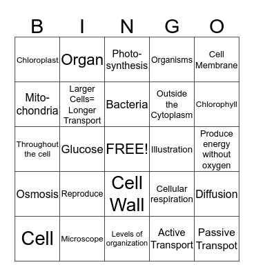 Cells and Heredity BINGO Card