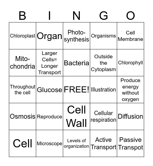 Cells and Heredity BINGO Card