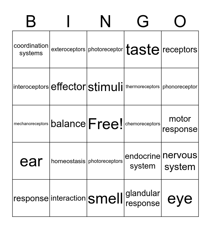 Unit 7 & 8 Bingo Card