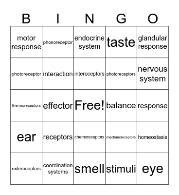 Unit 7 & 8 Bingo Card