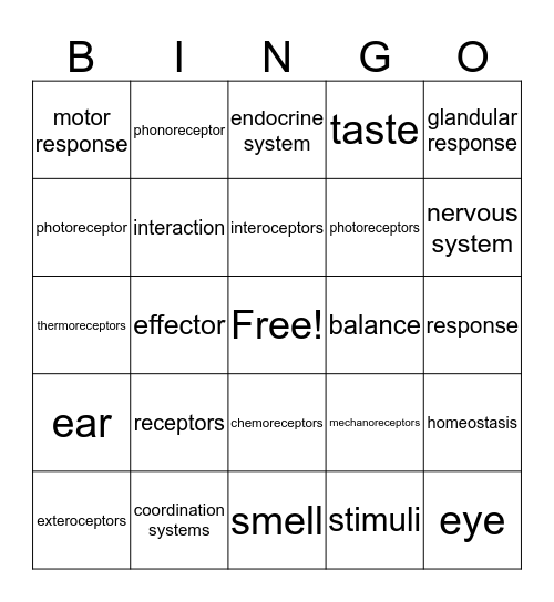 Unit 7 & 8 Bingo Card