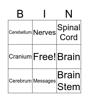 Nervous System Bingo Card