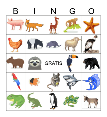 rimac Peru Bingo Card