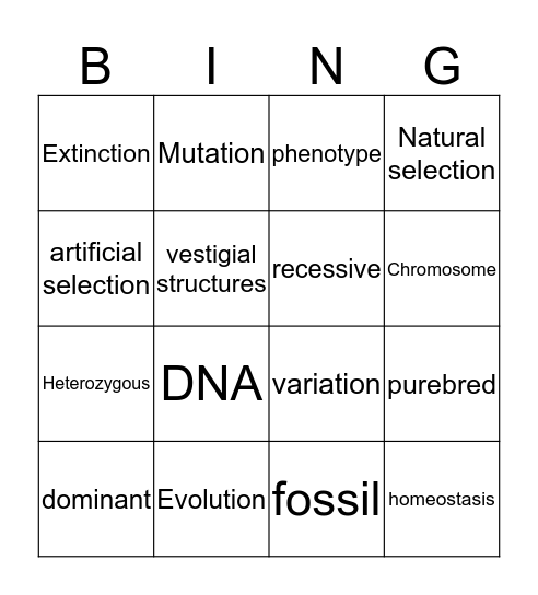 Science Vocab Bingo Card