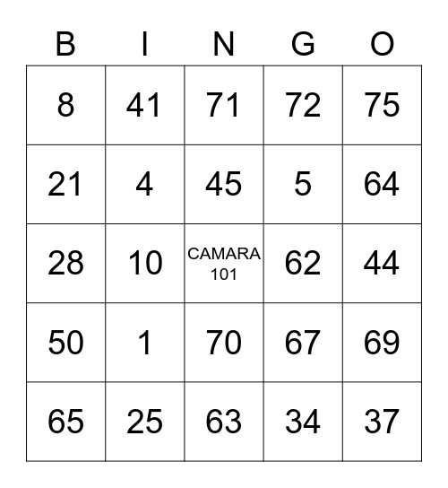 Mauricio Salazar Bingo Card