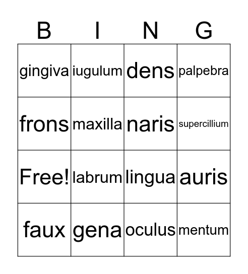 Facies Bingo Card
