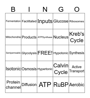 Cells Bingo Card