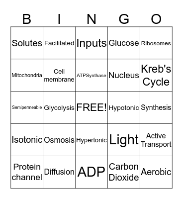 Cells Bingo Card