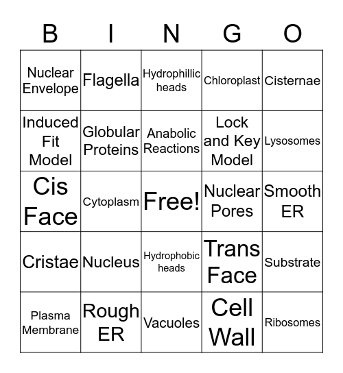 Cell Biology Bingo Card