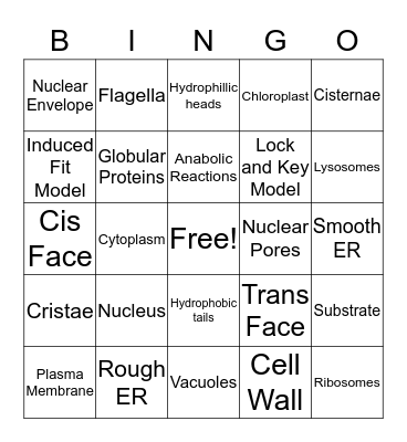 Cell Biology Bingo Card