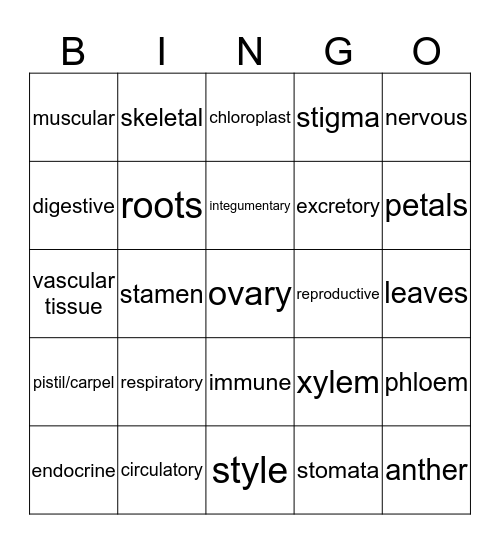 Plant and Animal Systems Bingo Card