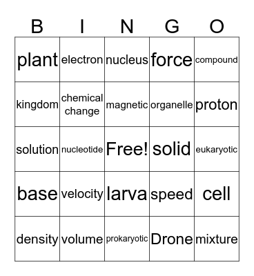 Vocabulary Bingo Card