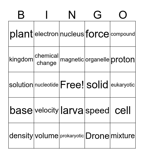 Vocabulary Bingo Card