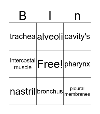 respirtory system Bingo Card