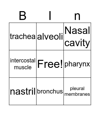 respirtory system Bingo Card