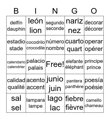 Latin Cognates Bingo Card