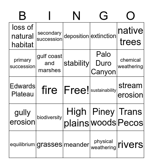 5th 6 weeks Bingo Card